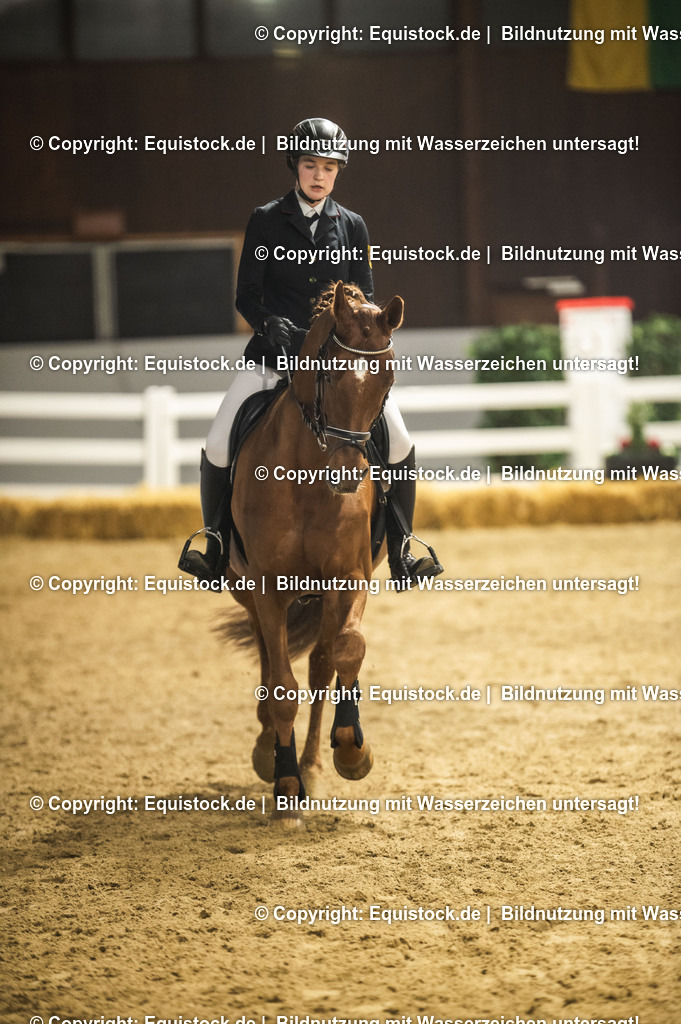 20240302_Hengstvorstellung_Marbach_TOMsPiC_1346 | equistock