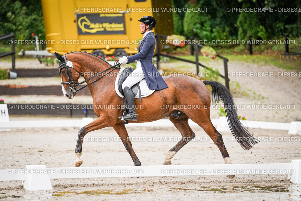 DSC08586 | Pferdegrafie