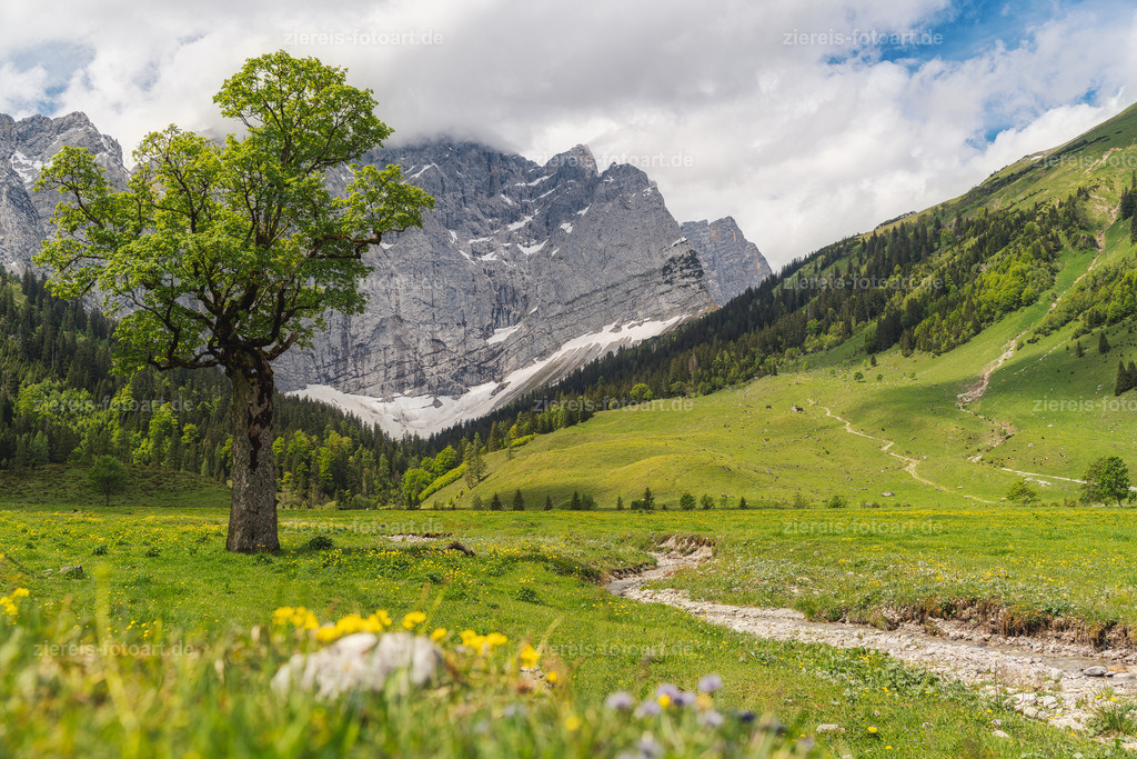Der Ahornboden im Karwendel im Frühling | Der Ahornboden im Karwendel im Frühling - Realisiert mit Pictrs.com