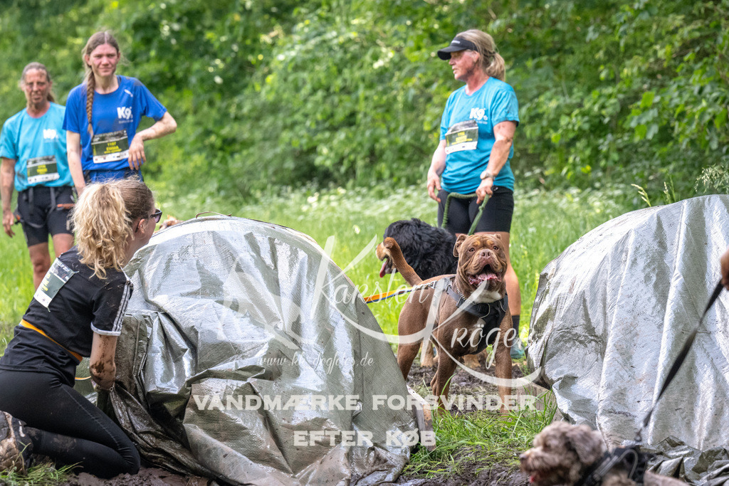 1309_ZZ90223 | kk-dogfotos