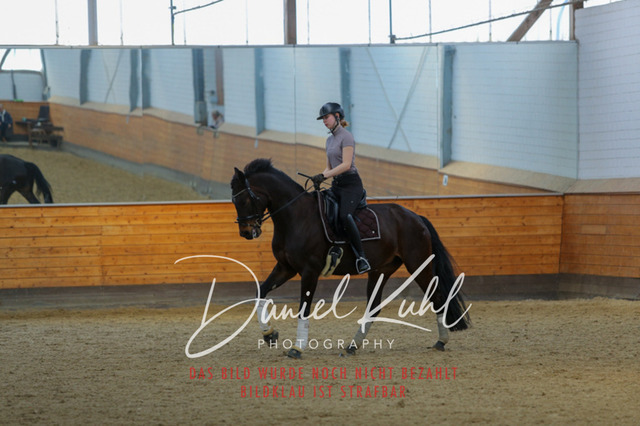 IMG_3527 | Deine Turnierfotos vom Reitturnier online kaufen: Dressur, Springen & Siegerehrung. Professionelle Pferdefotografie aus dem Rheinland – als Download & Print.Alternative: Turnierfotograf für den Pferdesport: Finde deine Fotos von Dressur- und Springturnier