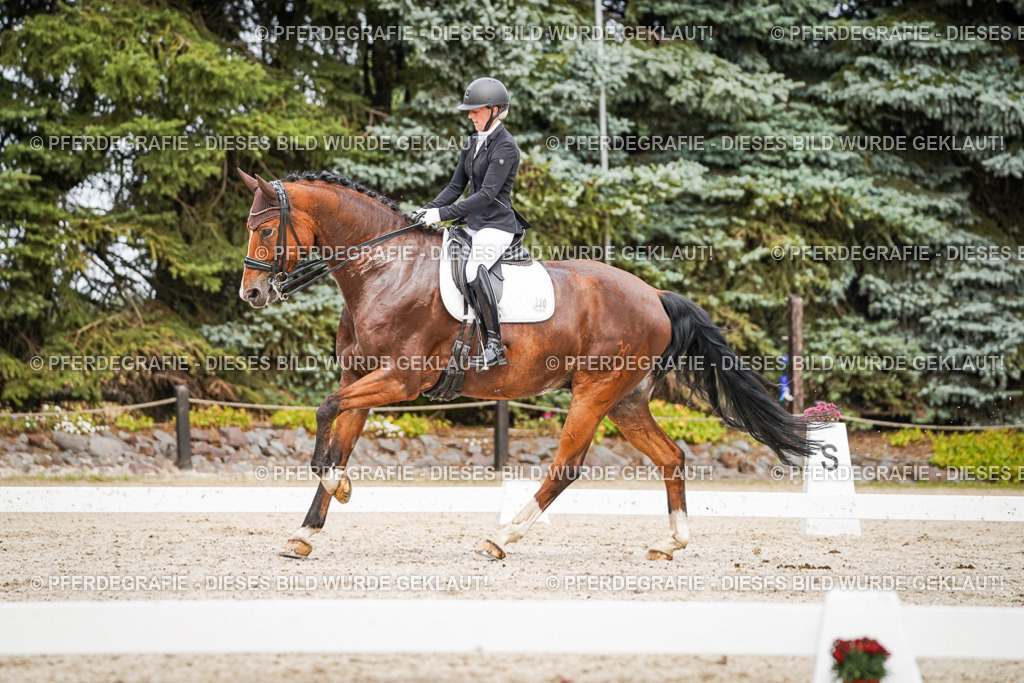 DSC06485 | Pferdegrafie