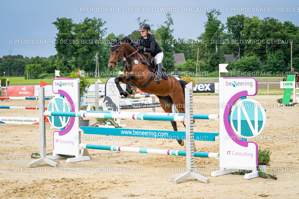 DSC03855 | Pferdegrafie