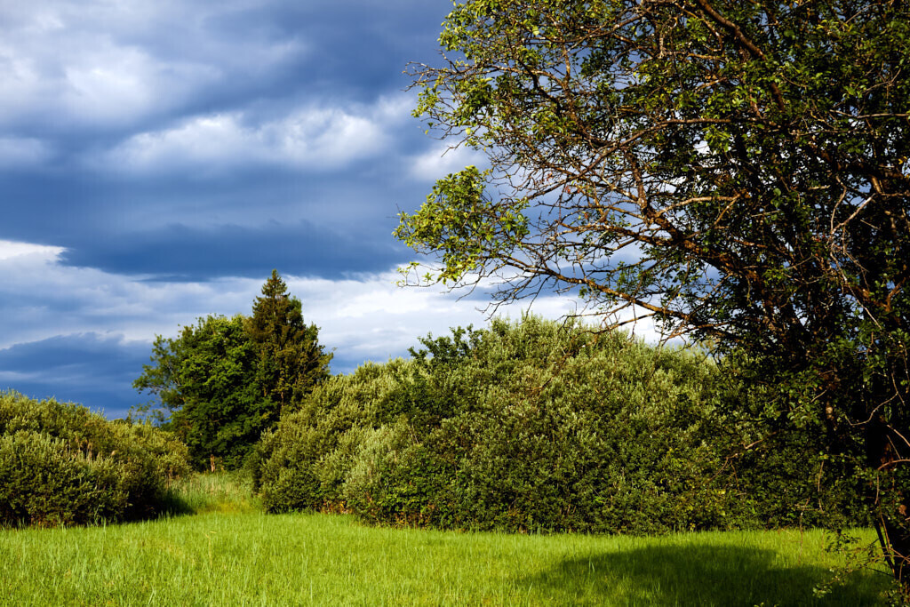 Vor dem Sturm | Ich erzähle Geschichten als Autor und als Fotograf. Hier finden Sie hochwertige Naturfotografie, Reisefotografien und Bilder aus dem urbanen Lebensraum.  - Realisiert mit Pictrs.com