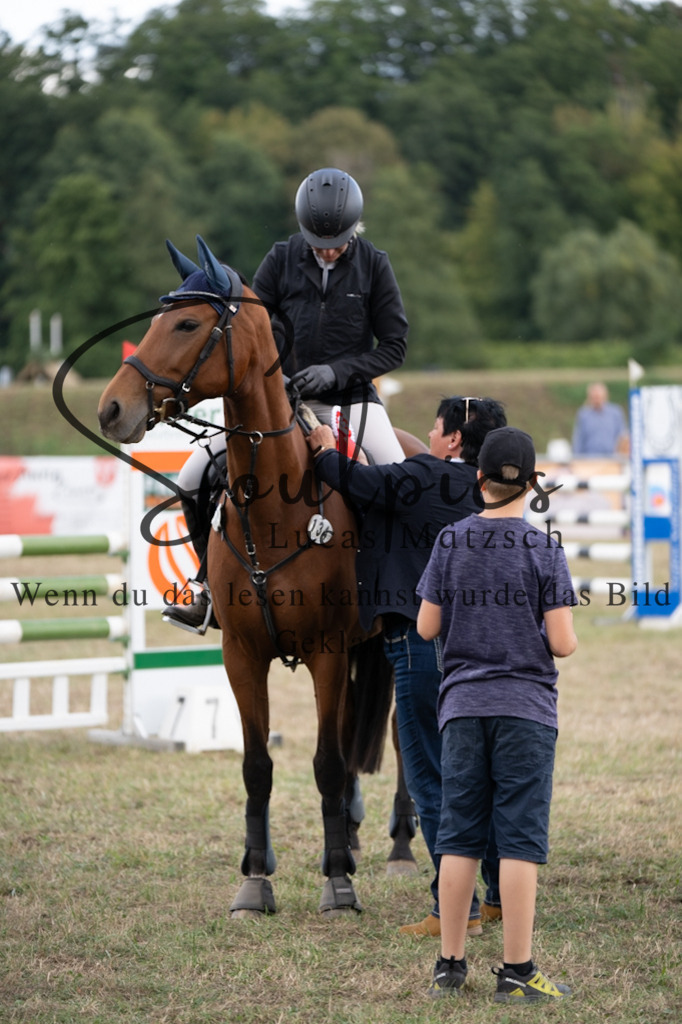 A7V09501 | Pferdefotograf