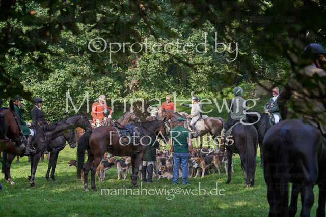 09-23 Jagd Perdöl_MCH0377_Marina Hewig | Fotografie, FotoArt, PferdesportArt, Pferdesportfotografie, Landschaftsfotografie, Reisefotografie, Reise, Pferde - Realisiert mit Pictrs.com