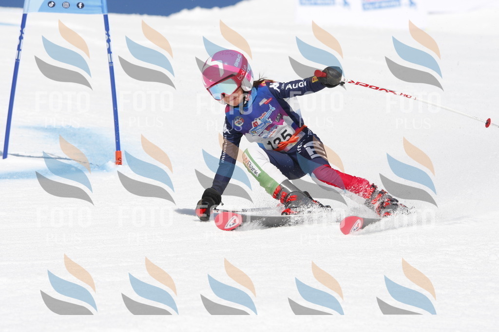 _W1G2033 | holidayphoto