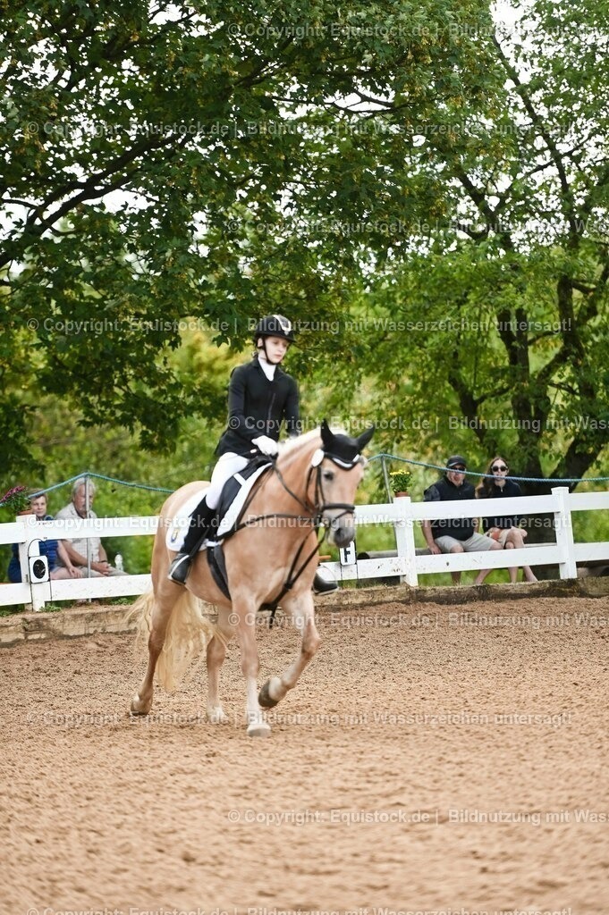 20230716_10-1_Reiter-WB Schritt - Trab - Galopp_0218 | equistock