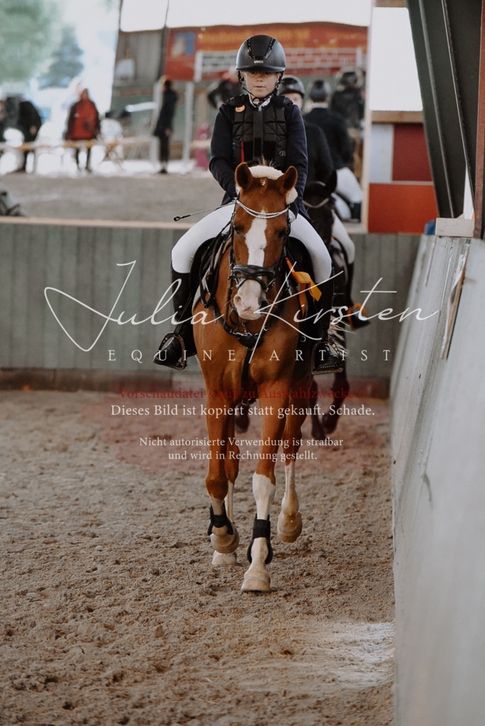 DSC_7513 | Pferde- und Turnierfotografie in Westsachsen. Pferdeportraits, Auftragszeichnungen und intuitive Kunst.