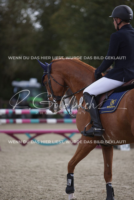 1J2A4815Claas Hermann Romeike_ Unikat 39_ Kn950_ Havekost | Foto- und Videografie für alles rund ums Pferd. Hochwertige Bilder und Videos vom Spring- und Dressurreiten, Voltigieren & mehr. Jetzt aktuelle Veranstaltungen und Preise im Shop ansehen. - Realisiert mit Pictrs.com