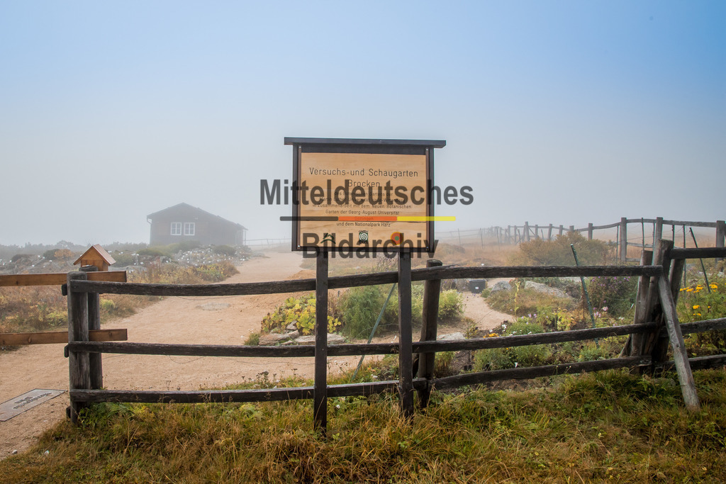 innerdeutsche Grenze Grünes Band Brocken Ilsenburg Eckerntal-9820 | Die innerdeutsche deutsch-deutsche Grenze, das Grüne Band - Realisiert mit Pictrs.com