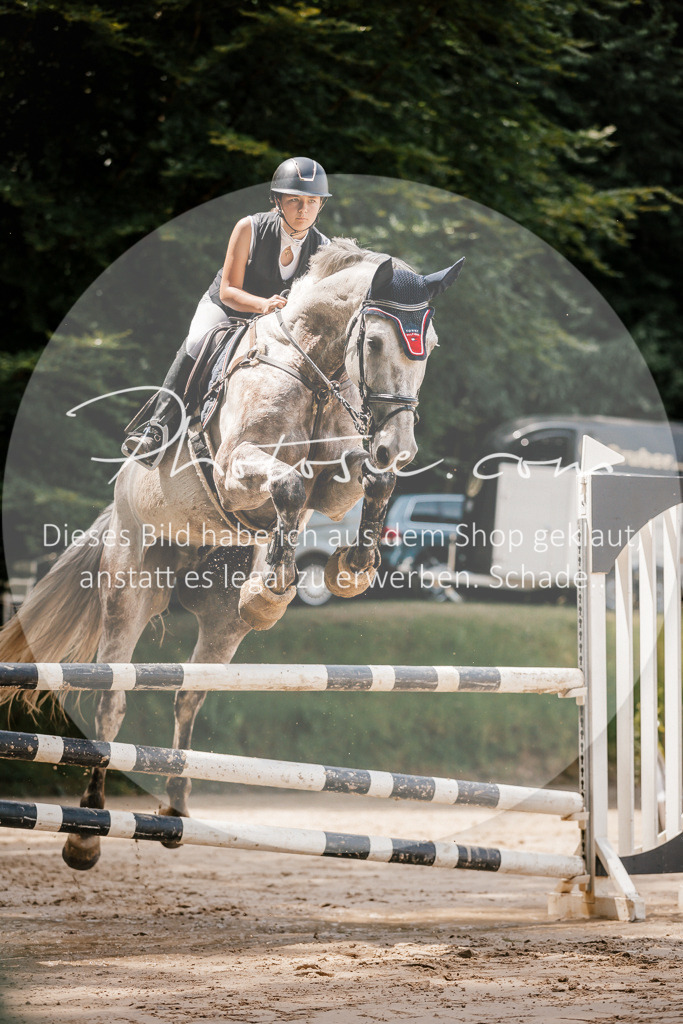 3I6A7868 | Stimmungsvolle Portraits und Reitsportfotografie im Ruhrgebiet und im Münsterland.

Pferdefotografie, Hundefotografie, Tierfotografie, Reportagen, Portraits von Tier und Mensch, Turnierfotografie in Bochum, Recklinghausen, Marl, Haltern am See, Dülmen.. - Realisiert mit Pictrs.com