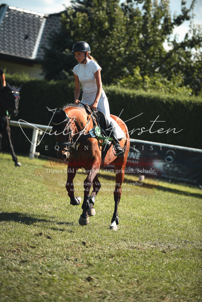 DSC_7348 | Pferde- und Turnierfotografie in Westsachsen. Pferdeportraits, Auftragszeichnungen und intuitive Kunst.