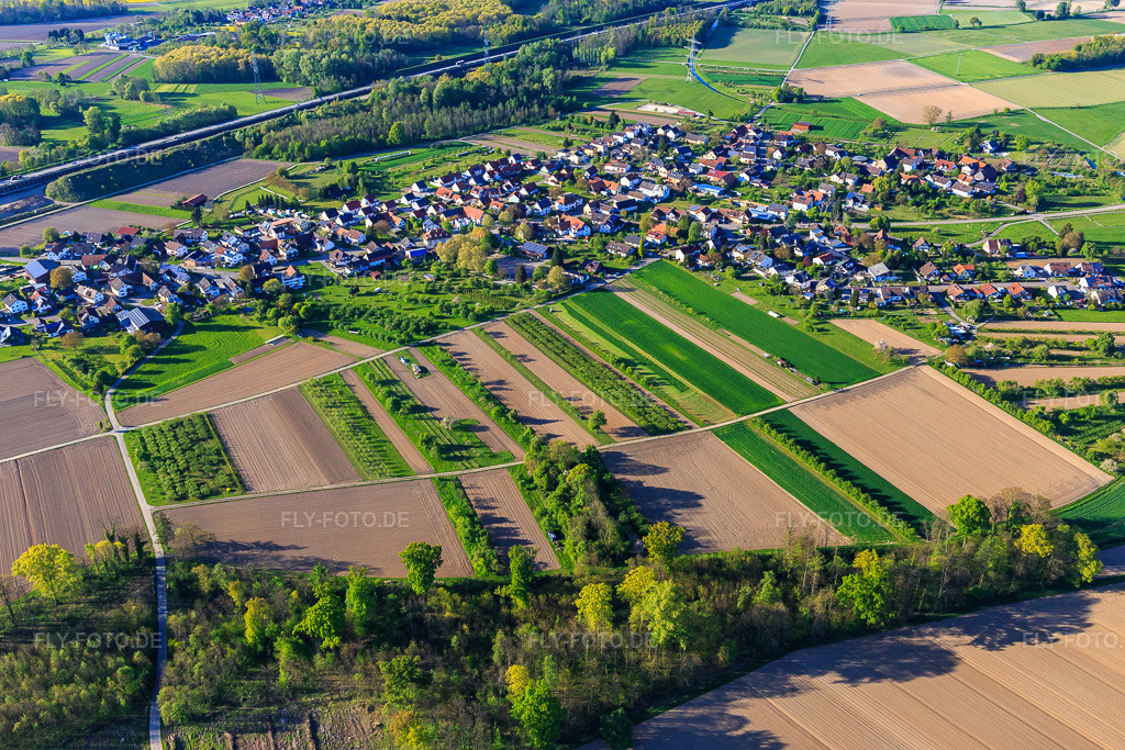 Luftbild: Dorfansicht aus Süden diesseits der A5 im Ortsteil Balzhofen in Bühl im Bundesland Baden-Württemberg in Deutschland. Foto: IMG_099110.jpg vom 23.04.2017 durch Werner Riehm/FLY-FOTO.de