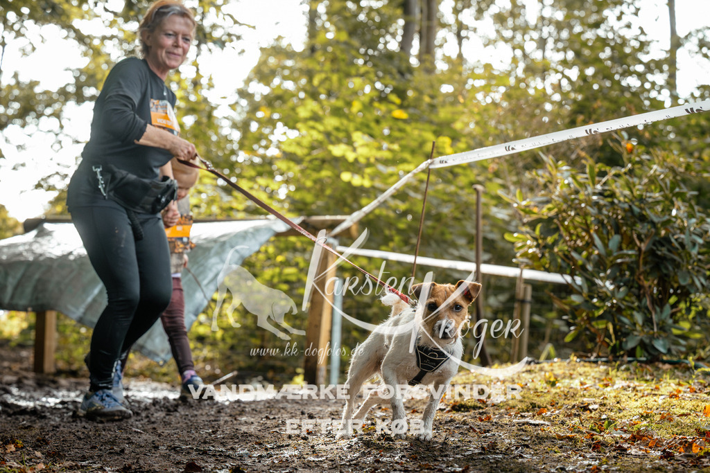 1452DZ6_3695Z6 | kk-dogfotos