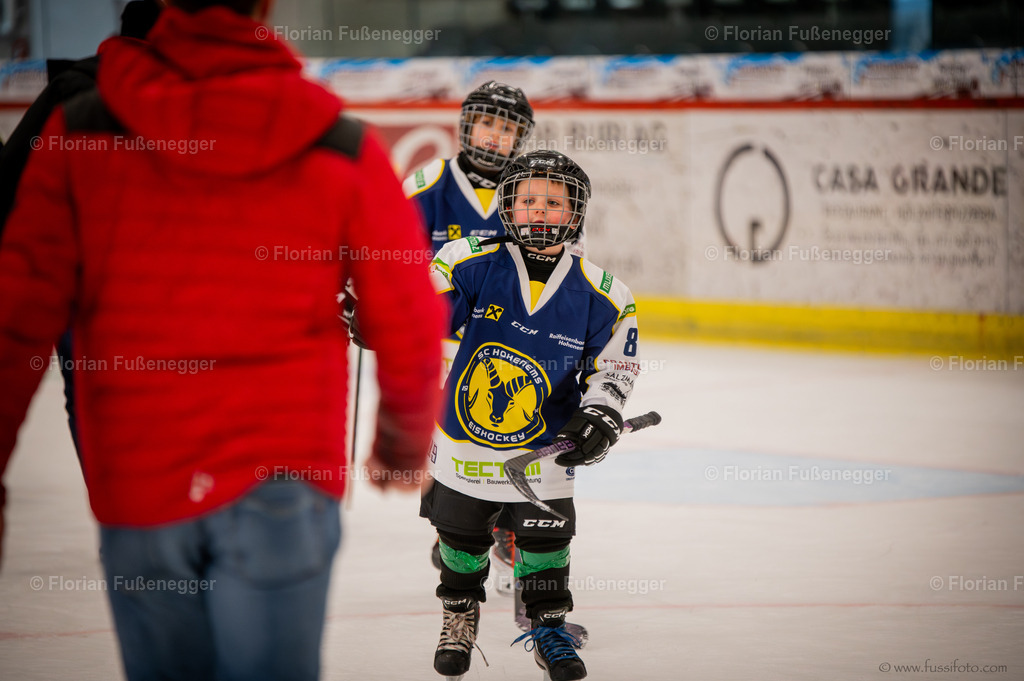 DSC_1356 | "Fussifoto.com – Ihr Ansprechpartner für hochwertige Fotografie! Entdecken Sie kreative Bilder und professionelle Dienstleistungen. Kontaktieren Sie uns für Ihre Projekte!"