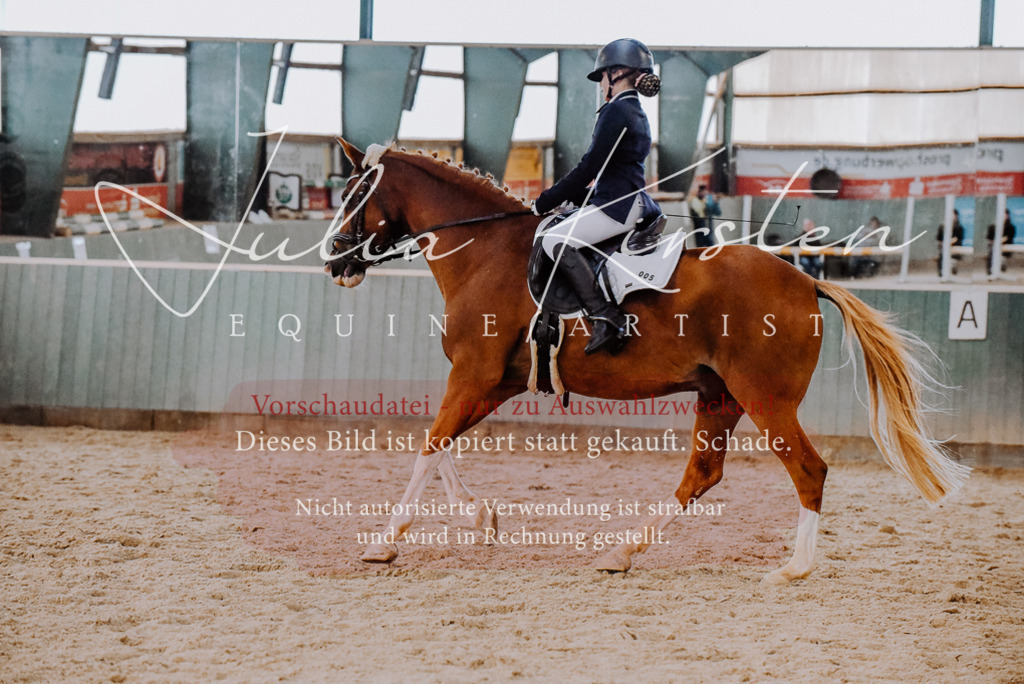 DSC_7688 | Pferde- und Turnierfotografie in Westsachsen. Pferdeportraits, Auftragszeichnungen und intuitive Kunst.