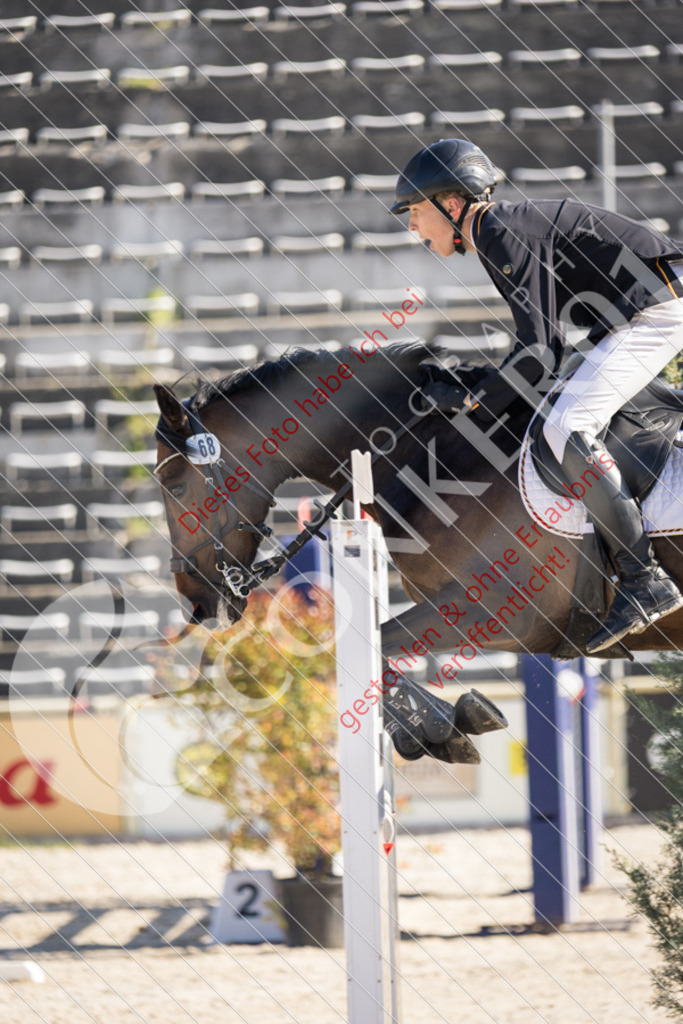 IMG_2943 | Sport-, Event- und Tierfotos in Profiqualität. Einfach auswählen, bestellen und herunterladen. Dein Moment – perfekt festgehalten.