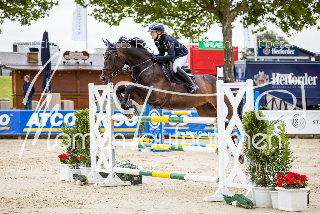 BHO-2PhSpr-M-230 | MomenTaufnahmen Pferdesportfotos