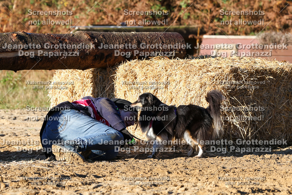 Dog Paparazzi - Strongdog 10-25-1214 | Dog Paparazzi Jeanette Grottendiek Fotografie & Videografie - Realisiert mit Pictrs.com