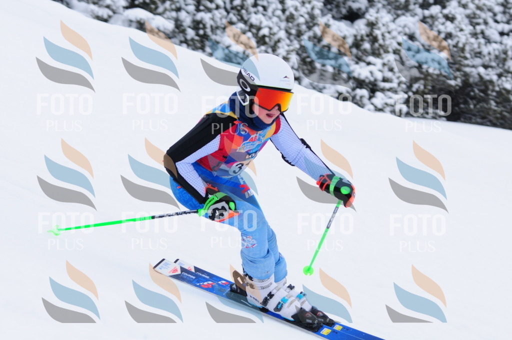 C3367 | holidayphoto