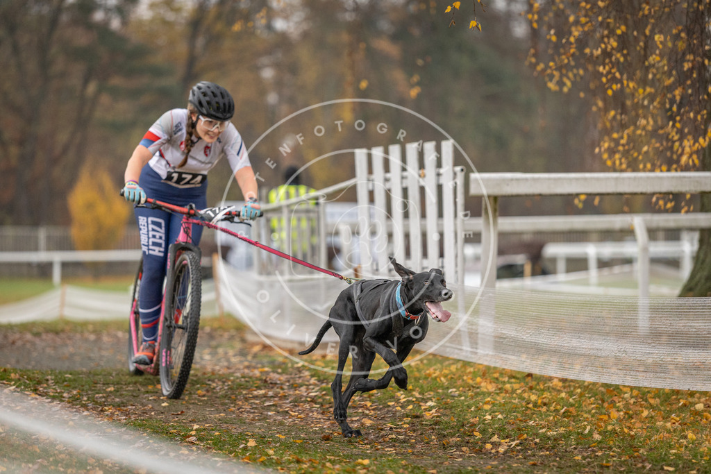 CaniXpix_DV3A8512 | Hundefotografie, Tierfotograf, Pfotenfotografie, Fotoshooting Hund, Hunde Portrait, Hundesport, Hundeportraits, Heideshooting, Hunde, Sportfotograf, Hundefotograf, Turnierhundsport, THS,  - Realisiert mit Pictrs.com