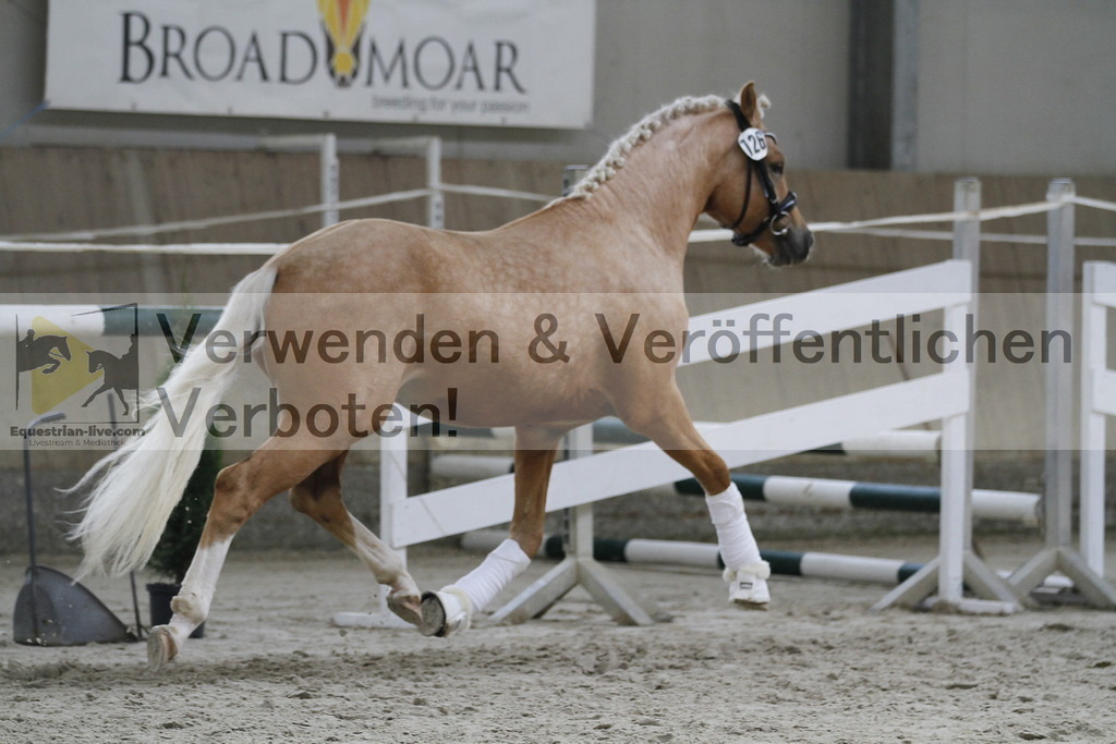 _MG_9742 | equestrian-live-com