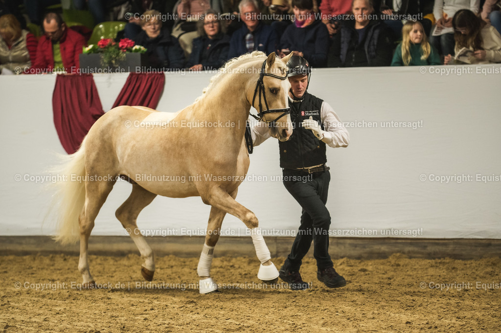 20240302_Hengstvorstellung_Marbach_TOMsPiC_0806 | equistock