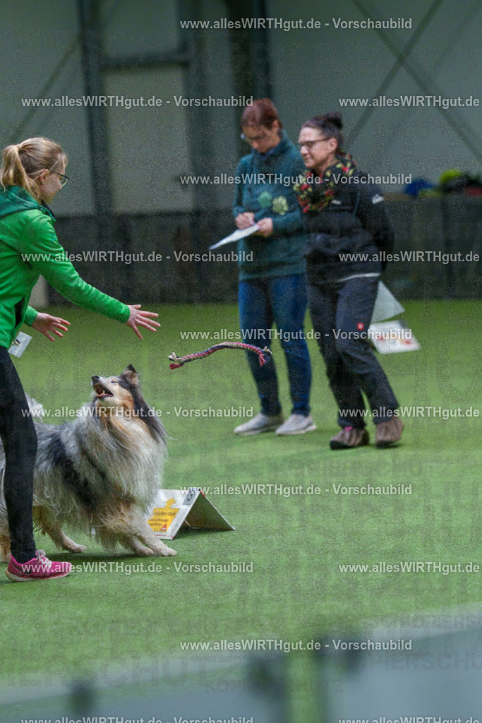 7R506242 | Professionelle Tierfotografie in Mönchengladbach von Daniel Wirth (allesWIRTHgut). Liebevolle & natürliche Bilder von Hunden & Katzen für unvergessliche Erinnerungen.
