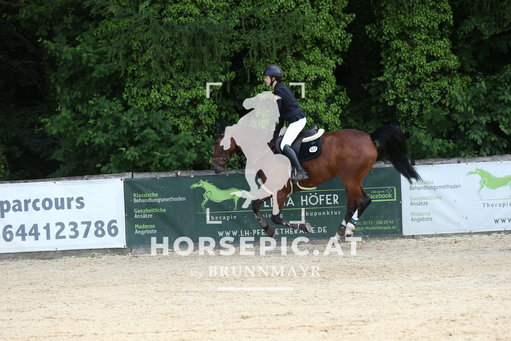 DL2Q7013 | Willkommen bei Brunnmayr - Design & Fotografie – Ihrem Spezialisten für Reitturniere und Pferdeveranstaltungen in Oberösterreich, Salzburg und Bayern! Seit über 17 Jahren sind wir leidenschaftlich dabei.