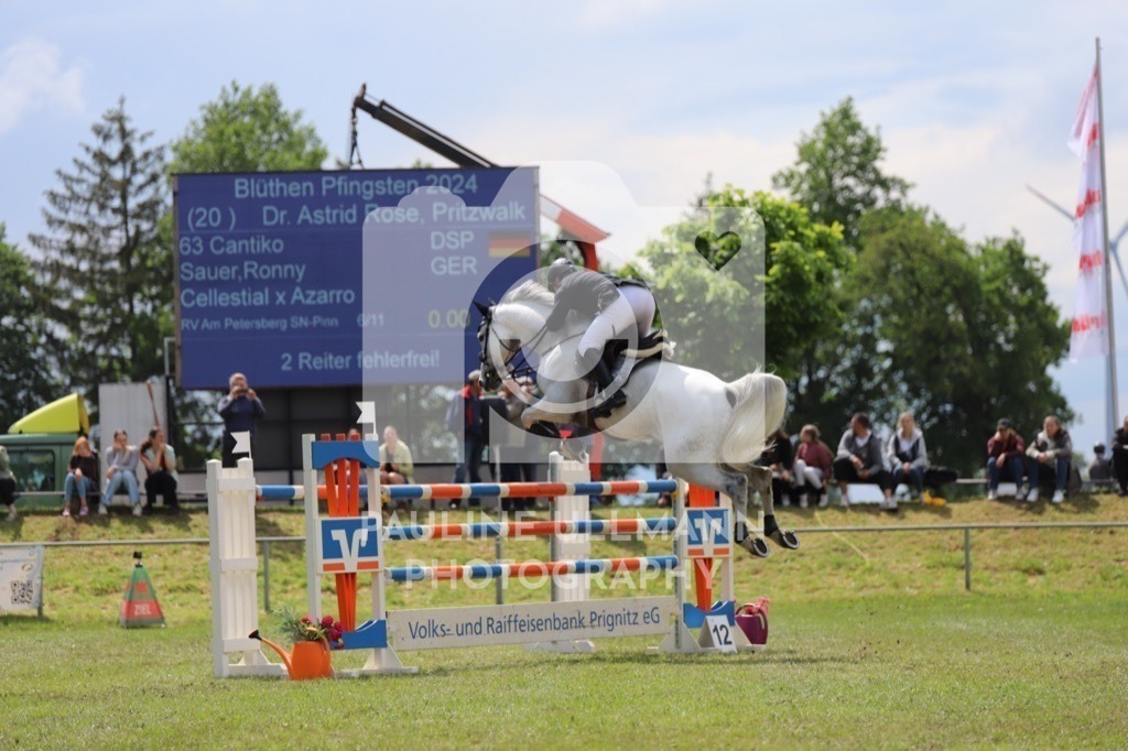 IMG_8910 | Pauline Ullmann Photography - Realisiert mit Pictrs.com