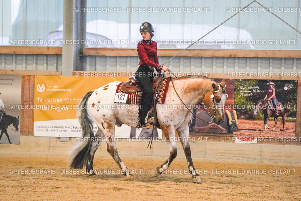 DSC08707 | Pferdegrafie