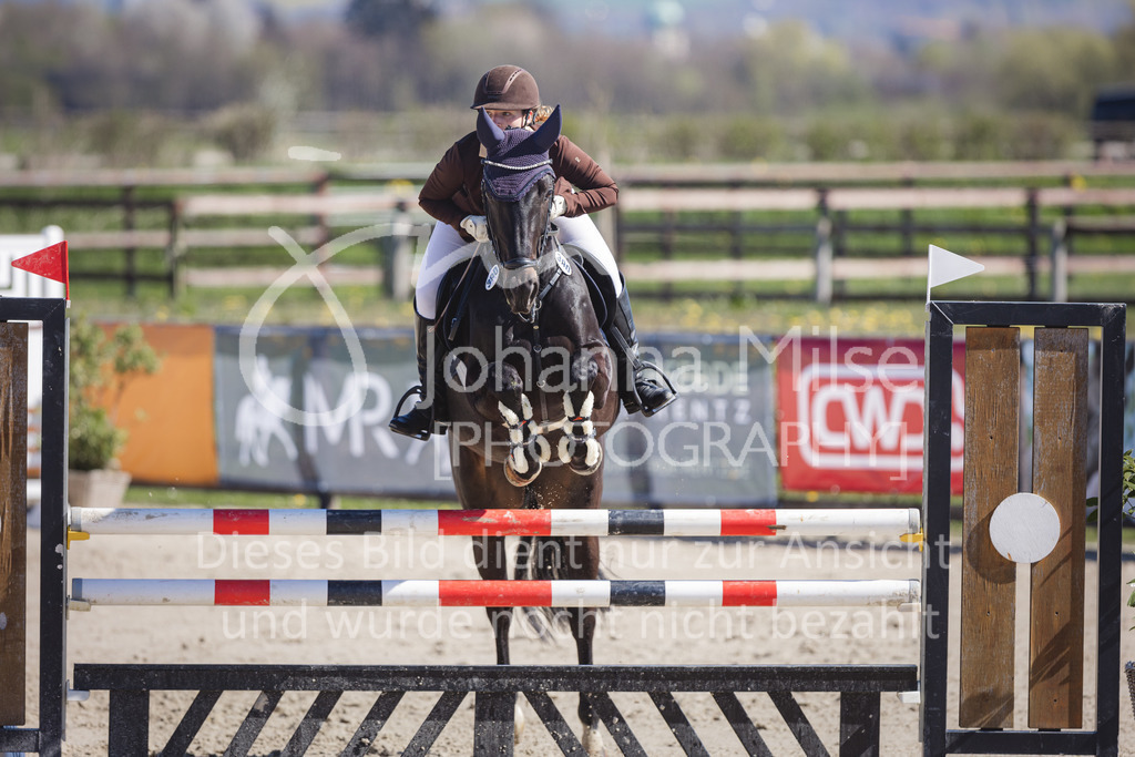 220416_2_A-Springen-272 | Frühlingsfest der Pferde
Herford
16.April 2022
02 Springprüfung Kl. A** geschlossen