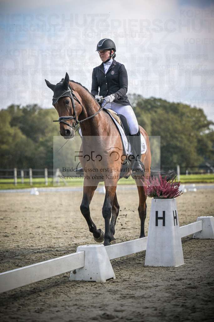 DOS_B694 | Entdecke hochwertige Reitturnierfotos von Foto Oger. Professionell, emotional und authentisch – jetzt Lieblingsmomente im Shop bestellen.Deutschlandweite Turnierfotografie. - Realisiert mit Pictrs.com