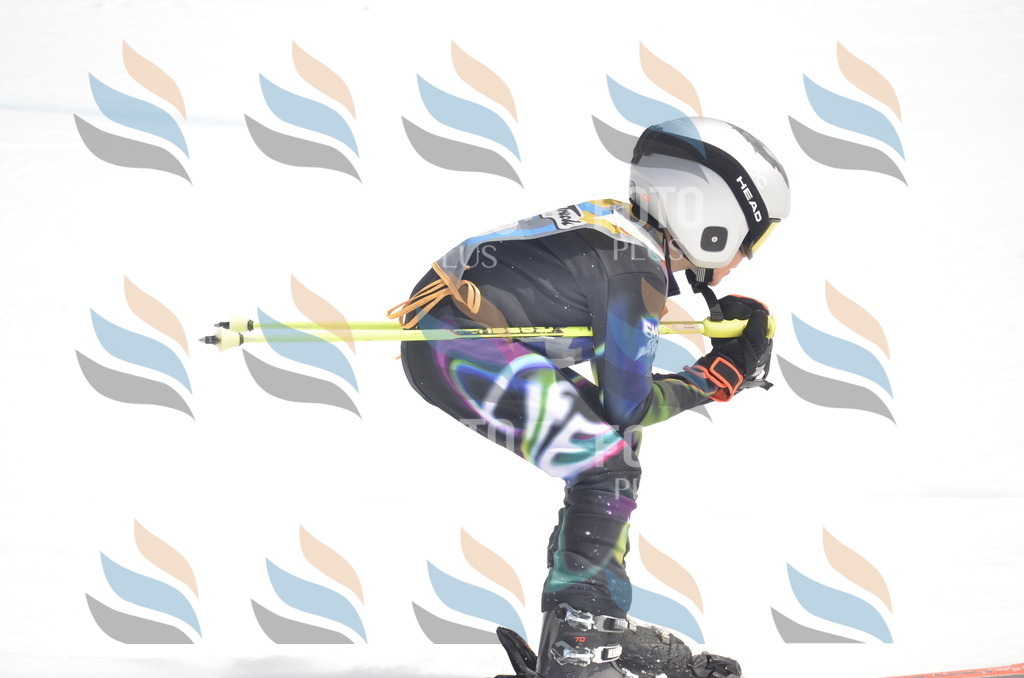 _ELE8918 | holidayphoto