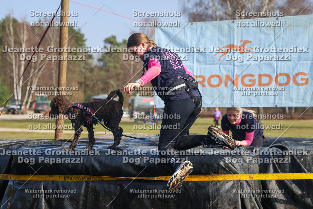 Dog Paparazzi - Strongdog North Mrz26-2633 | Dog Paparazzi Jeanette Grottendiek Fotografie & Videografie - Realisiert mit Pictrs.com