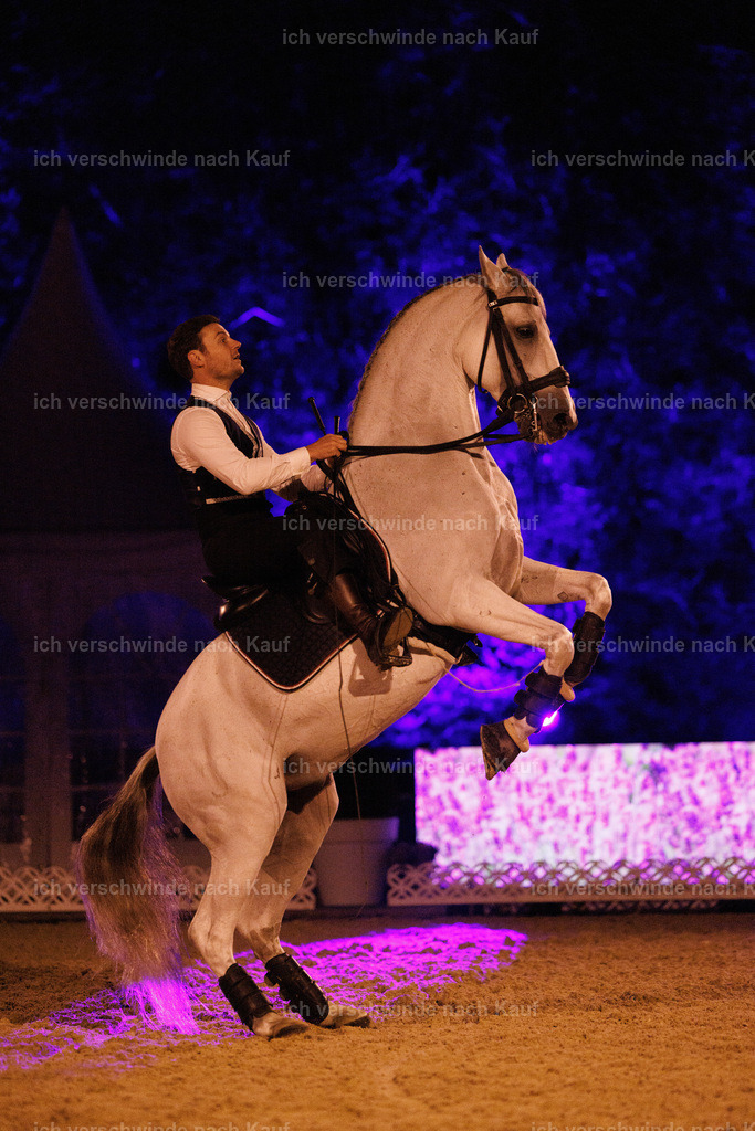 FHClassics-327 | working equitationturnier fotograf videograf stoibphotography marixx film working equitation deutschland reitsport turnierfotografie eventfotografie equestrian events