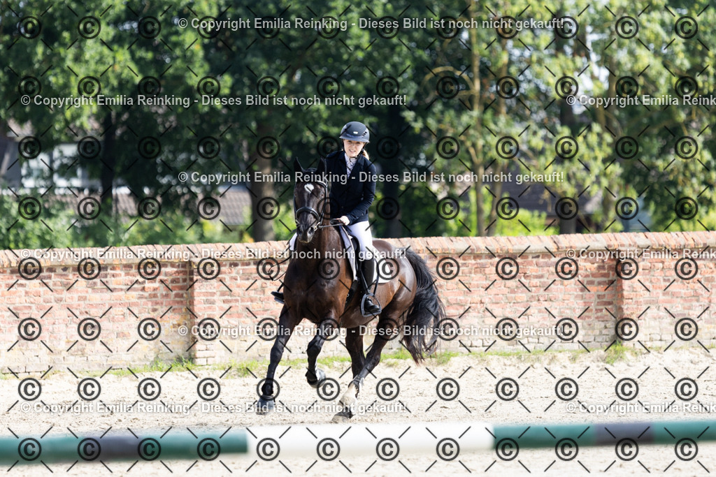 CL5A6321 | Emilia Reinking Fotografie - Realisiert mit Pictrs.com