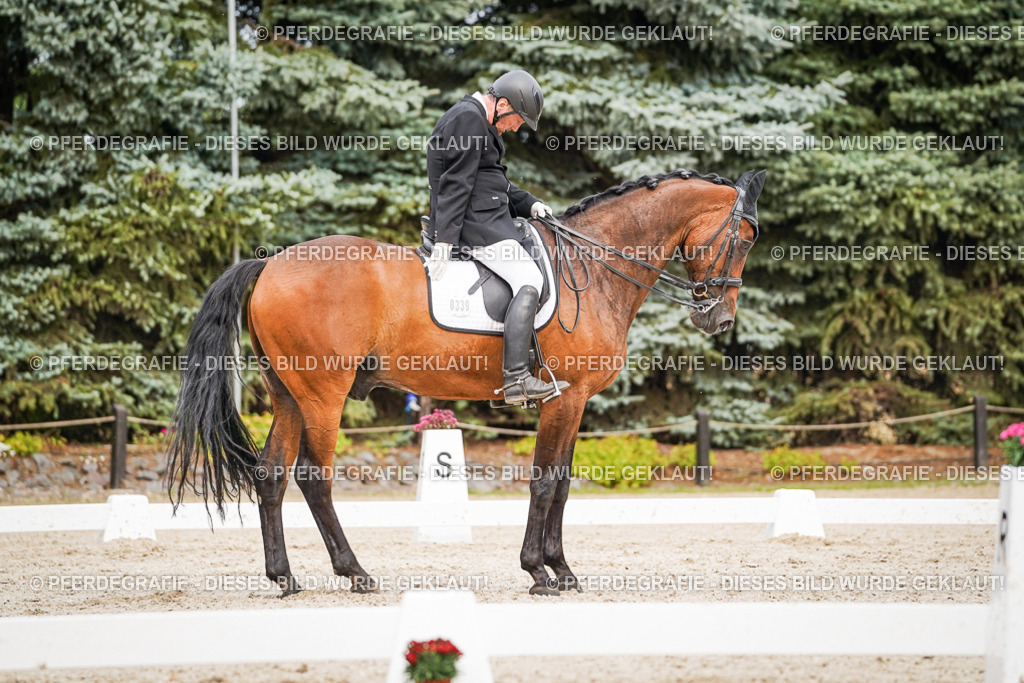 DSC07216 | Pferdegrafie