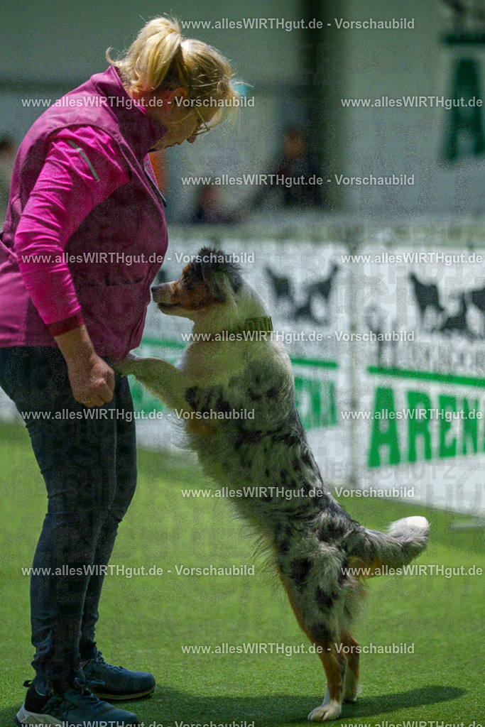 7R504153 | Professionelle Tierfotografie in Mönchengladbach von Daniel Wirth (allesWIRTHgut). Liebevolle & natürliche Bilder von Hunden & Katzen für unvergessliche Erinnerungen.