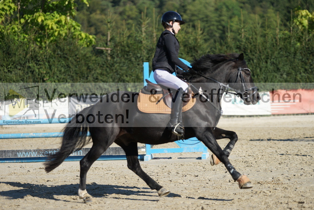 DSC09586 | equestrian-live-com
