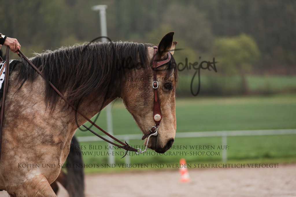 20230416-JuliaEndrejatPhotography-0041 | Julia Endrejat Photography