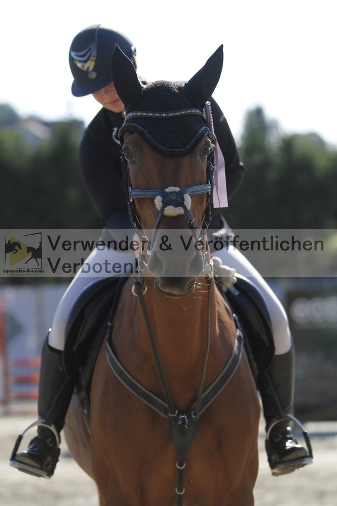 _MG_3984 | equestrian-live-com