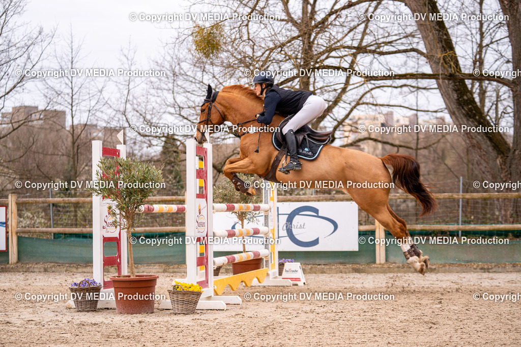 Kranichstein Tag 2-445 | dv-media-shop - Realisiert mit Pictrs.com