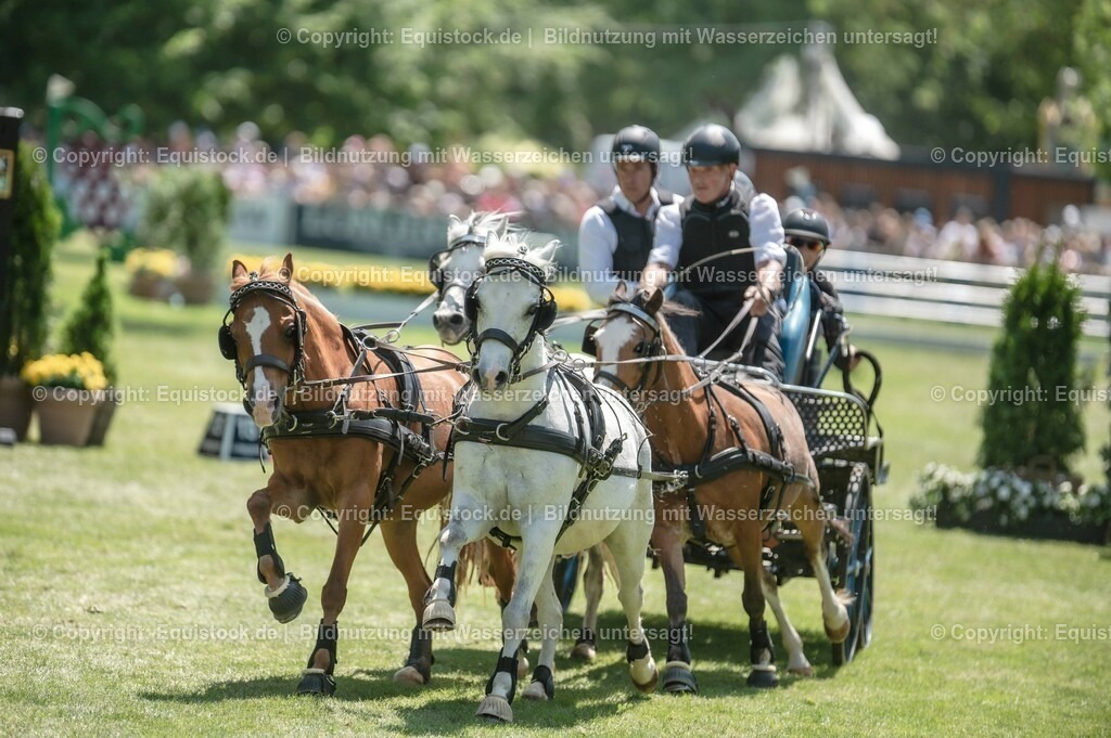 20230528_Jump-and-Drive_0087 | equistock