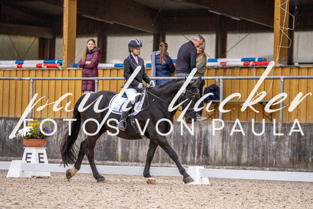 IMG_3676 | Erleben Sie dynamische Sport- und emotionale Tierfotografie in Süddeutschland mit Fotos von Paula. Spezialisiert auf Pferde- und Hundefotografie sowie Sportevents. Kontaktieren Sie mich für einzigartige und ausdrucksstarke Bilder Ihrer besonderen Momente. - Realisiert mit Pictrs.com