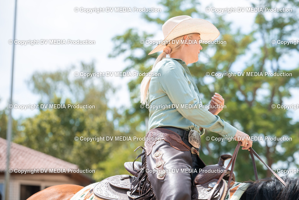 EWP_6537 | dv-media-shop - Realisiert mit Pictrs.com