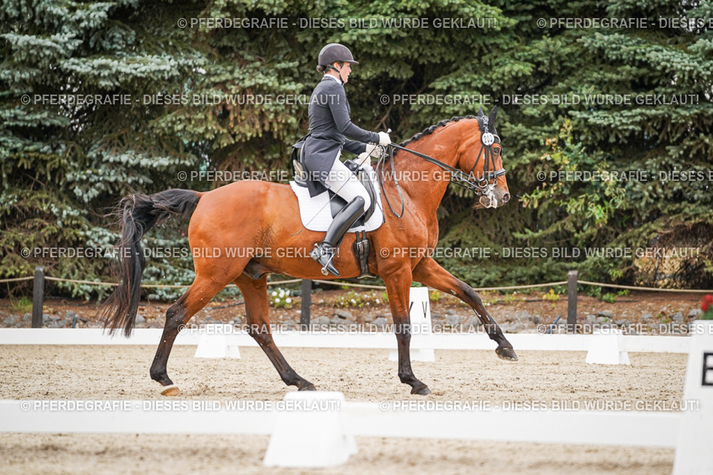 DSC07569 | Pferdegrafie