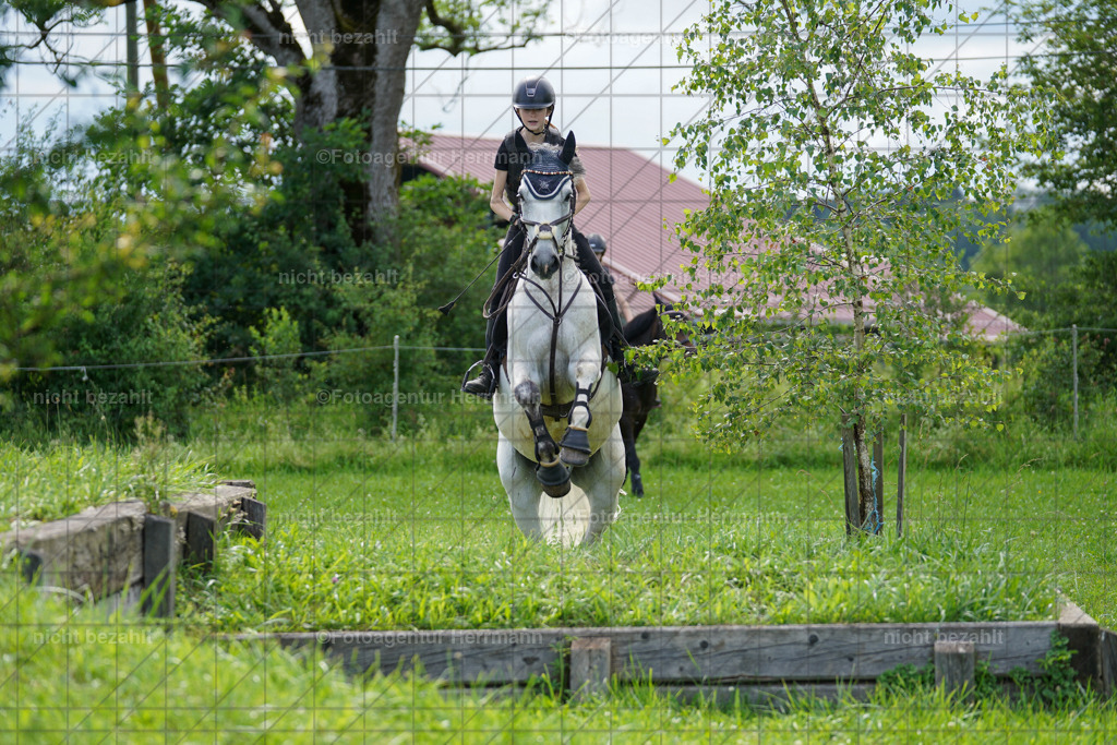20240622-FAH07970 | Turnierfotografen Bayern, Reitsportbilder aus dem Geländekurs mit Felix Etzel auf dem Gut Waitzacker 2024