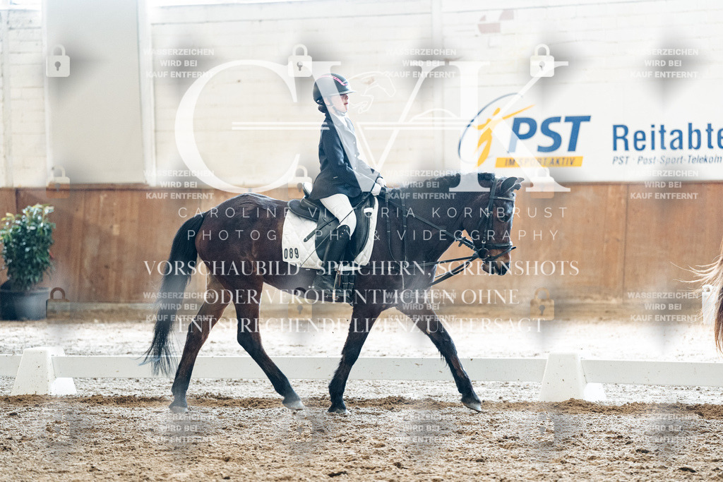 CK900395 | Turnierfotografie Pferdefotografie Trier Rheinland-Pfalz Pferdesport Reitsport Tierfotografie Sportfotografie Pferdevideo Pferdevideografie Equestrianvideography equestrianphotography  - Realized with Pictrs.com